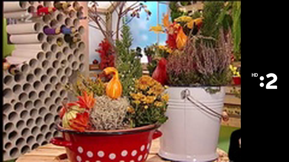 Čudná príroda E25