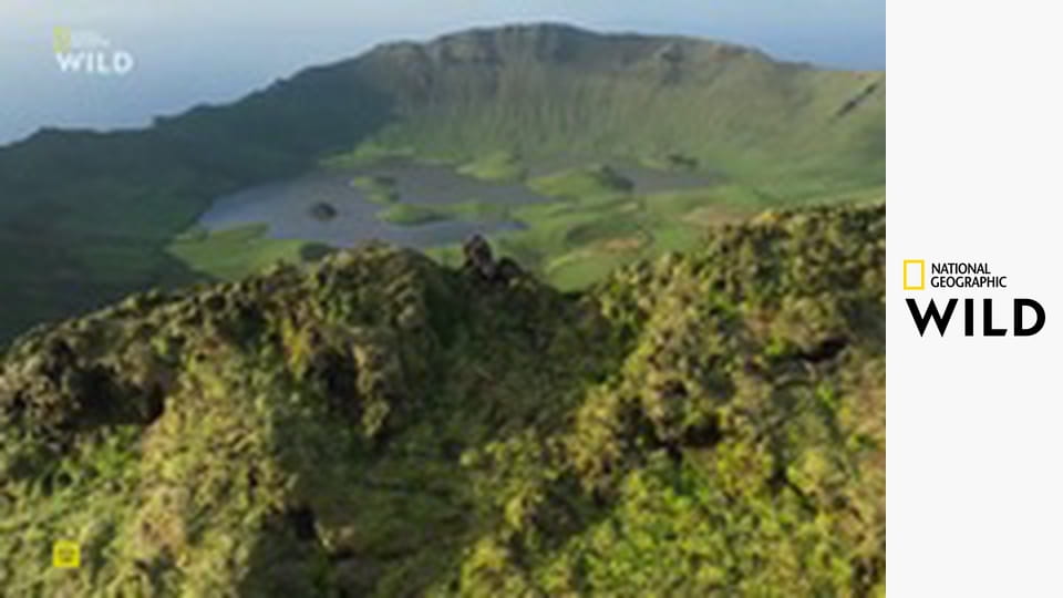 Klenoty evropské divočiny S1E1 - Jeden kontinent, pět světů