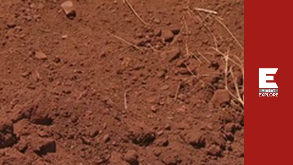 Австралийские золотоискатели - Сезон 7 Серия 19