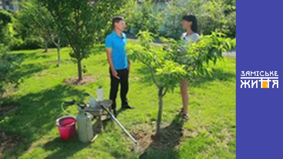 "Дачники" сезон 2 серия 23