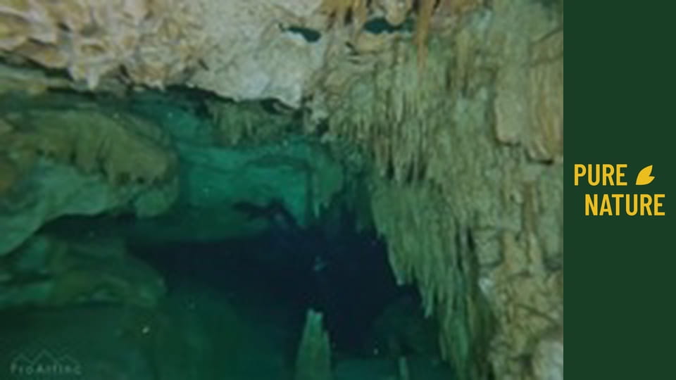 Mexican Underwater Caves: Incredible Underwater World