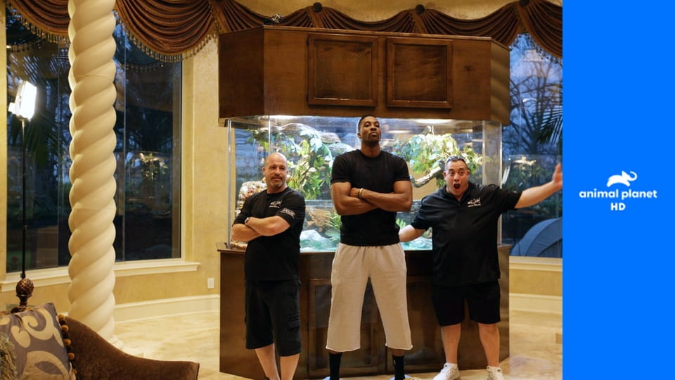 Аквариумный бизнес S7E12 - Сногсшибательный террариум для Дуайта Ховарда