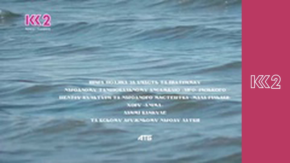 Сімейний суд E88 - Дві третини щастя