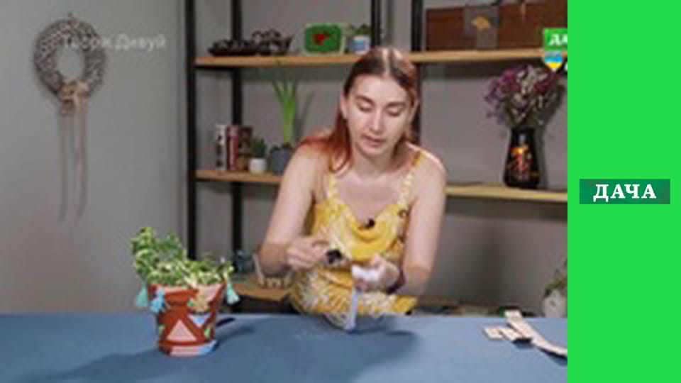 Твори. Дивуй