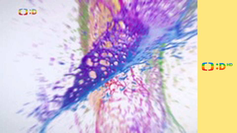 Leo, strážce přírody II