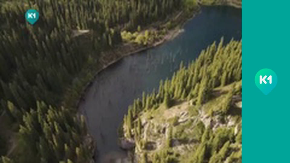 "Пригоди з Яною Метьолкіною".