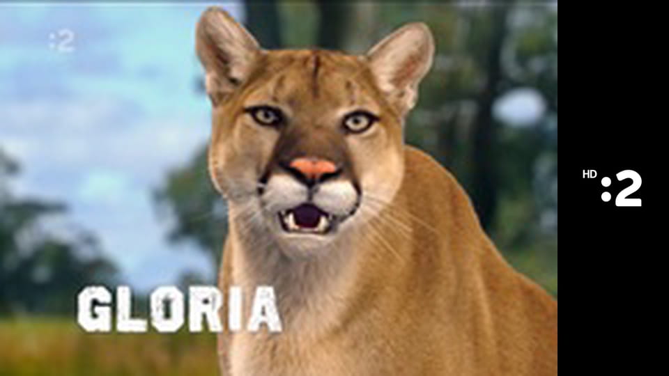 Čudná príroda E23