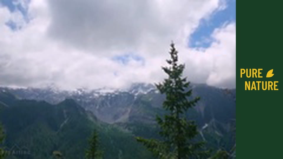 Mount Rainier National Park