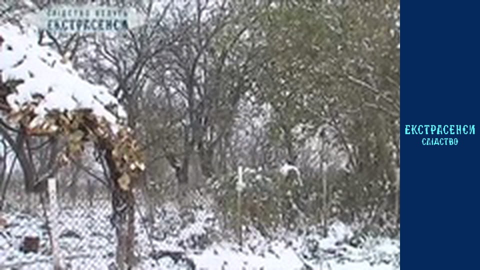 Сімейні чвари. Частина 2