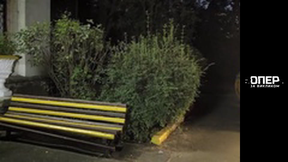 Опер за викликом, Сезон 4, Випуск 6