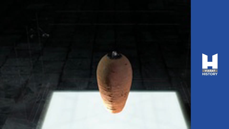 Дуже дивні експонати - Батарея, мумія, що кричить, та залізна рука