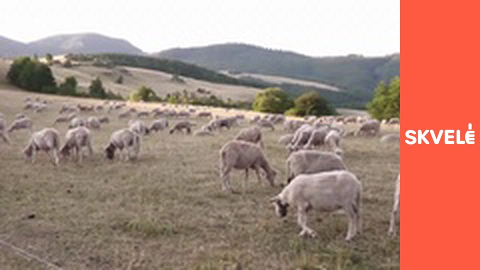 V Kuchyni - Tradičný slovenský salaš