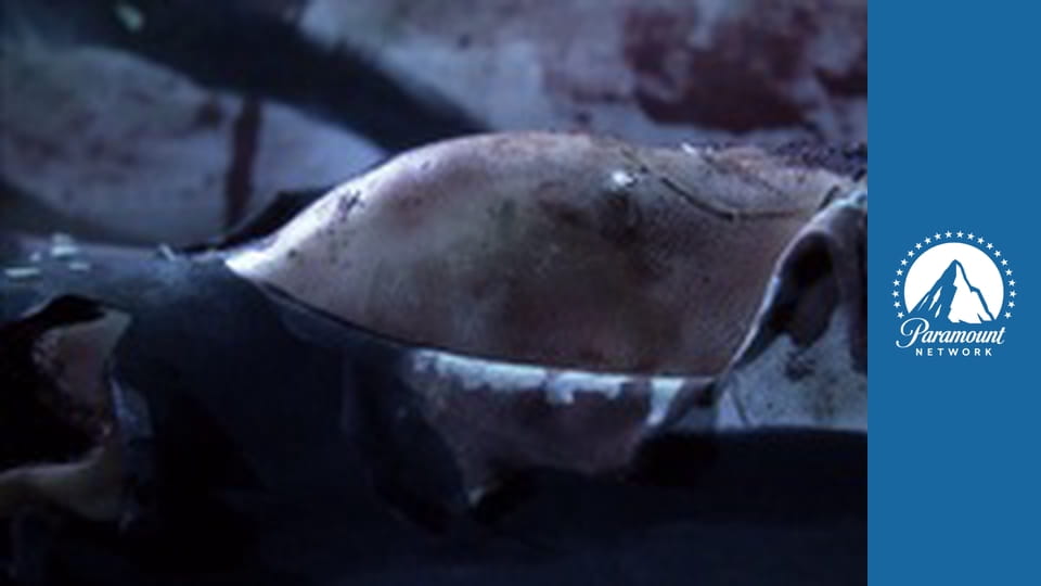 Kriminálka Las Vegas S11E18 - Kolečko