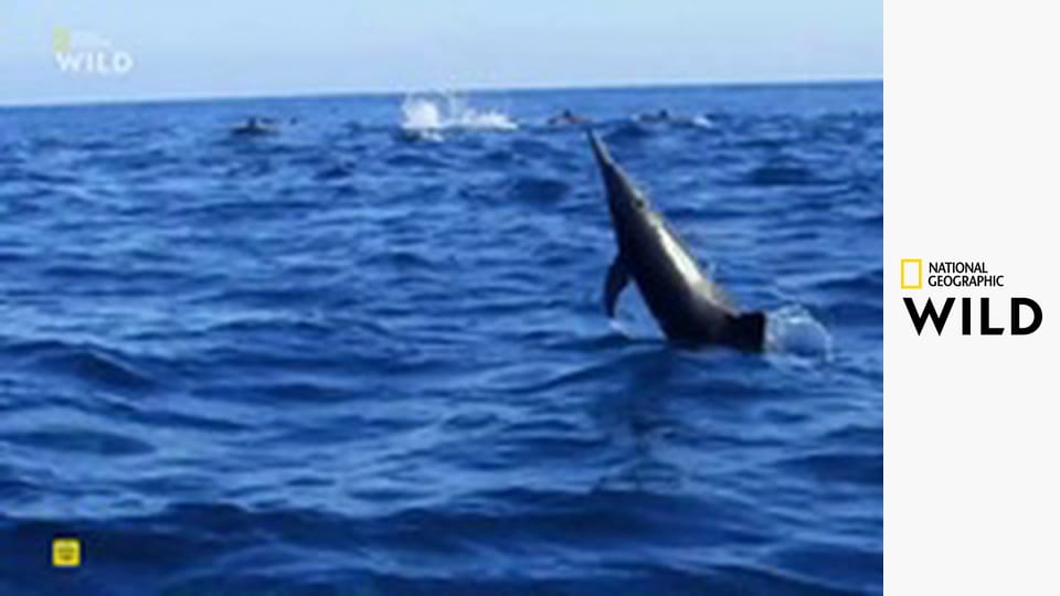 Kde se potkávají oceány