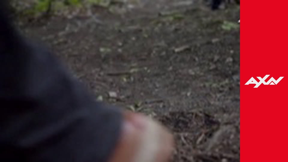 Profil zločinu S5E9 - Ve jménu mého syna