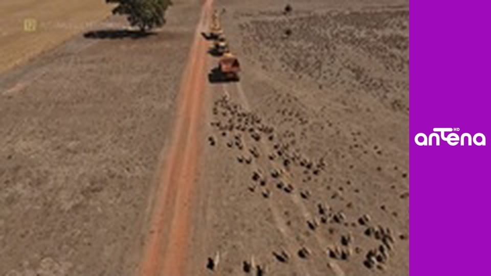 Australijscy poszukiwacze złota S5E15