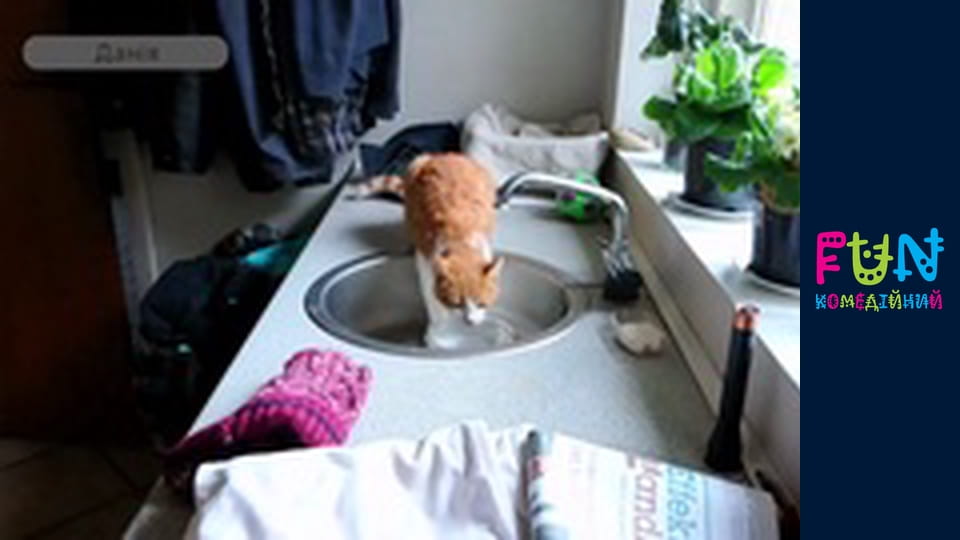 Earners - Season 3 Episode 63