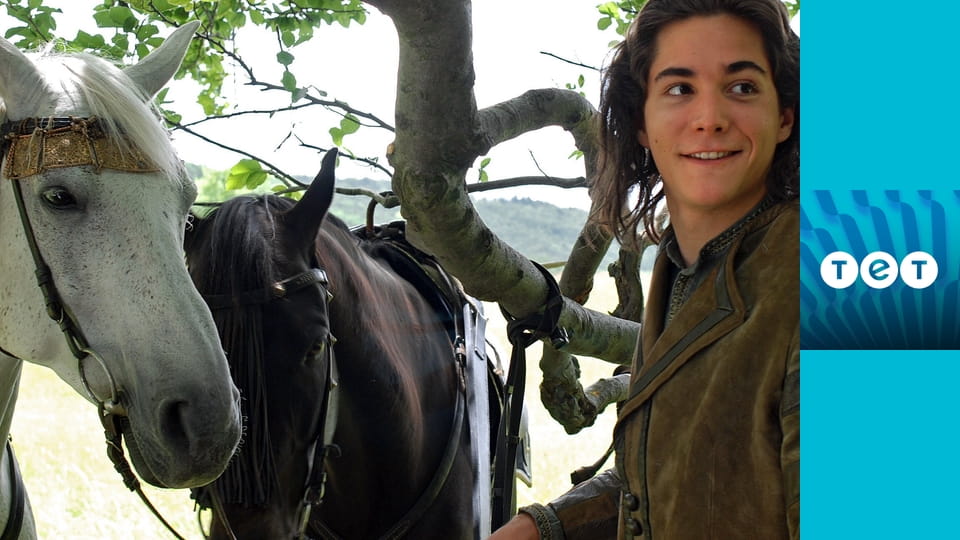 Спляча красуня