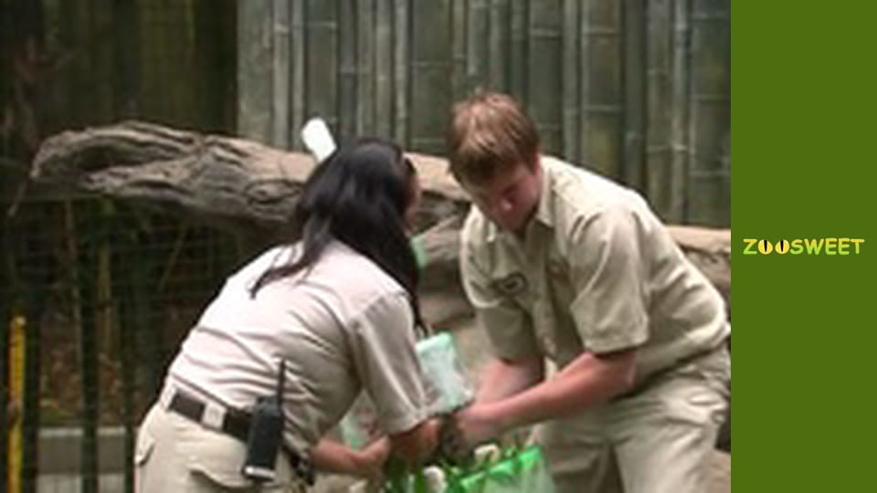 Wild Wonders at the San Diego - episode 22