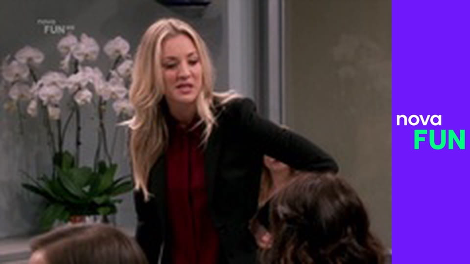 Teorie velkého třesku S12E14 - Porcování meteoritu