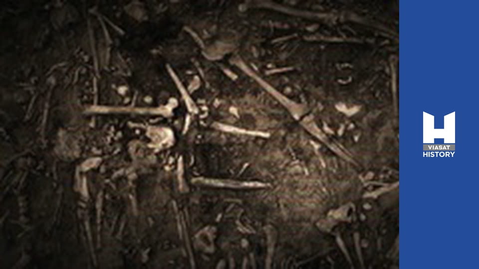 Forbidden History - The Maltese Alien Skulls