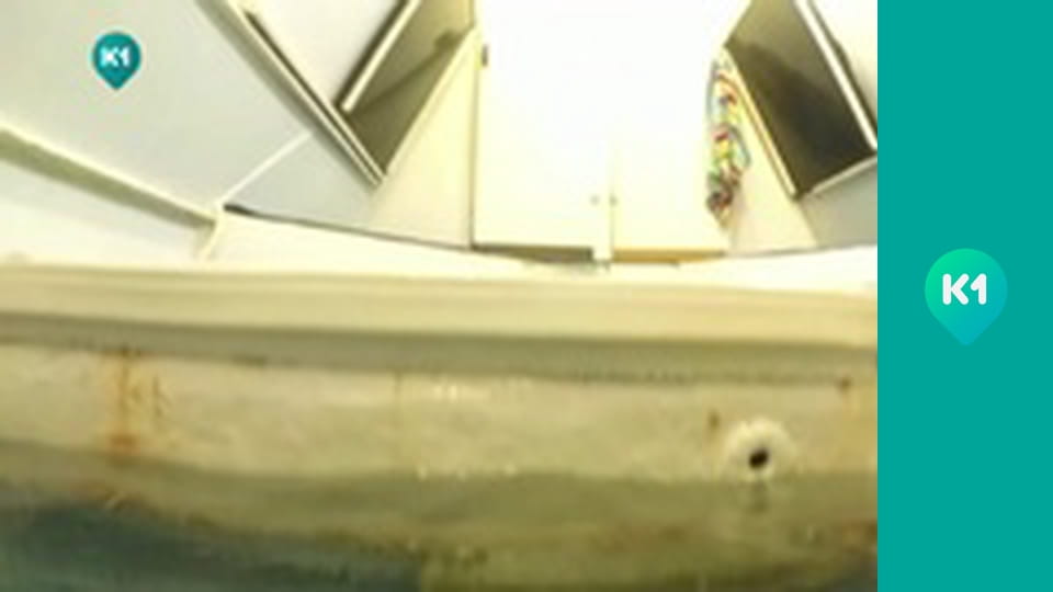 "Орел і Решка. Дайджест".