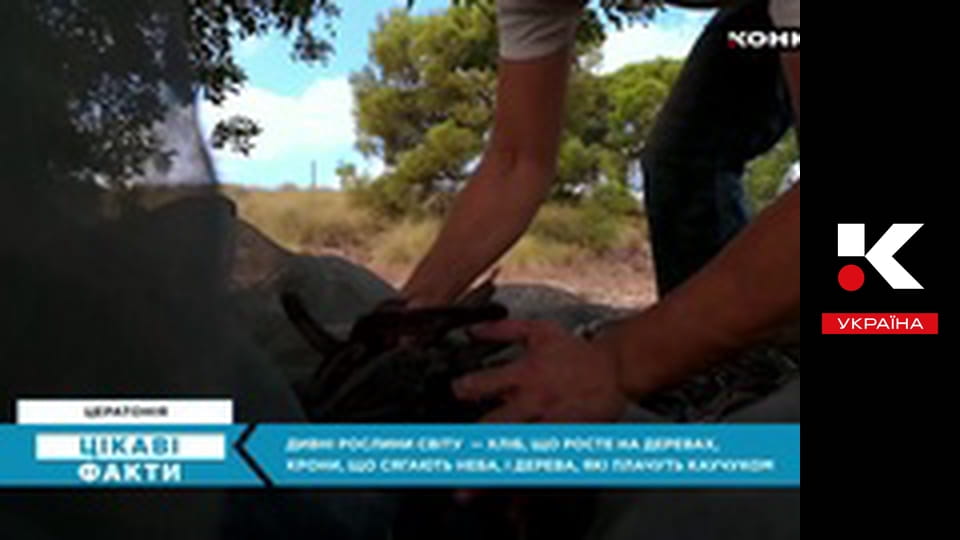 Цікаві факти.