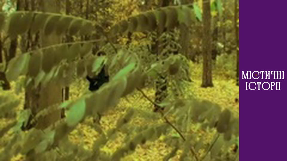 Т/с "Містичні історії" Сезон 2 серія 12