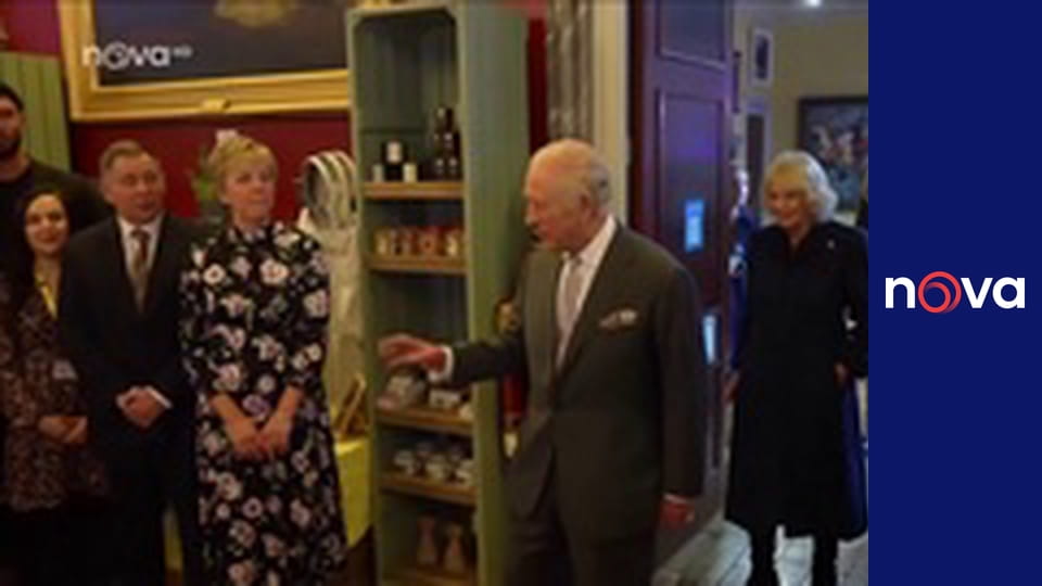 Bernieho dobrodružství