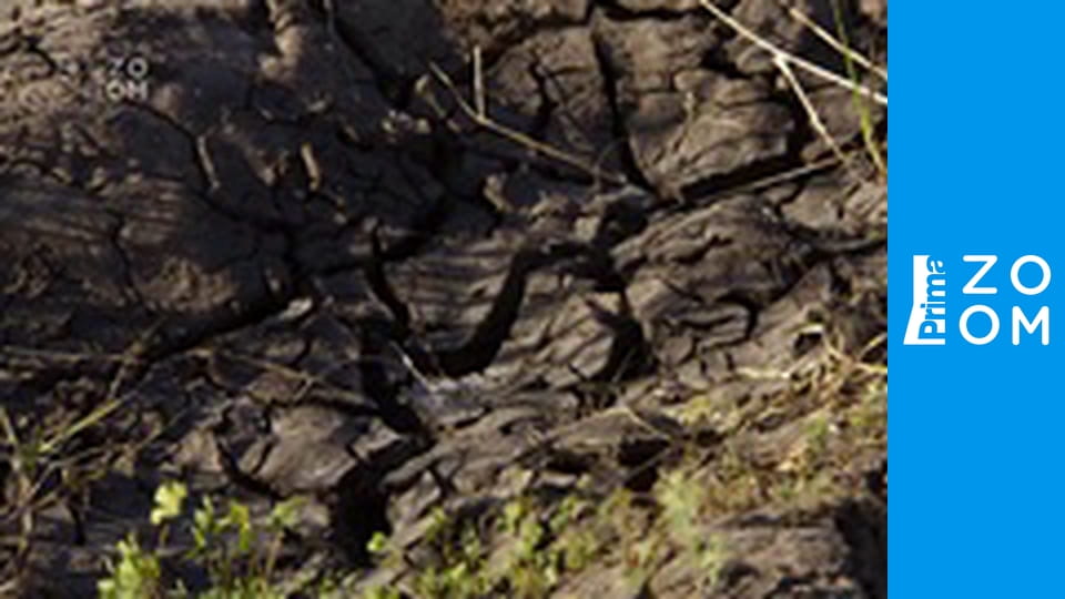 Africký vodní svět E6 - Chobe: Řeka života