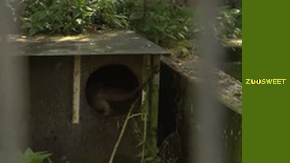 Animal Encounters - episode 6