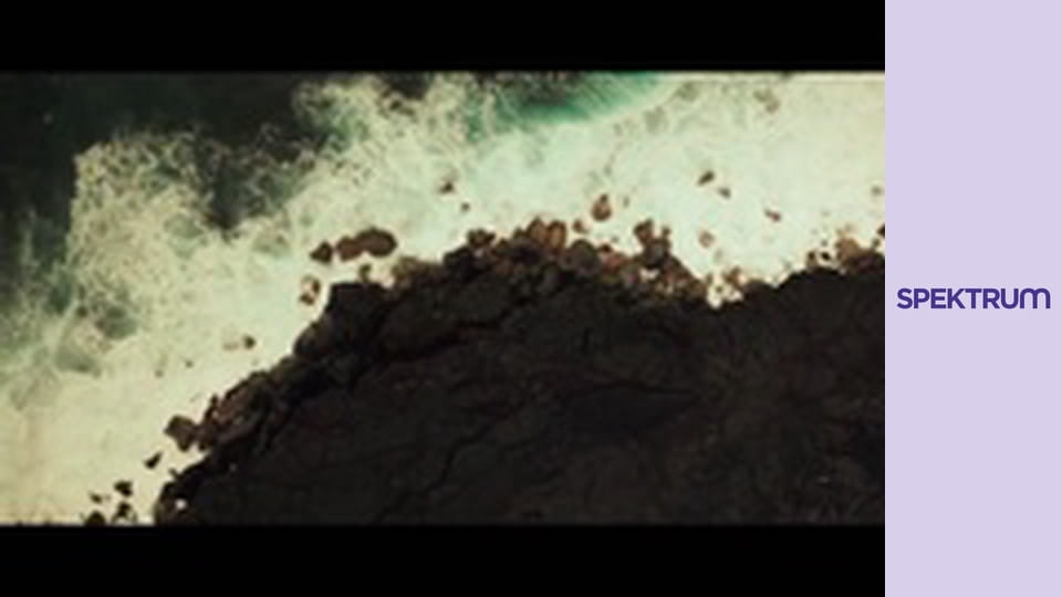 Země - historie 4 miliard let S1E3 - Rostlinstvo