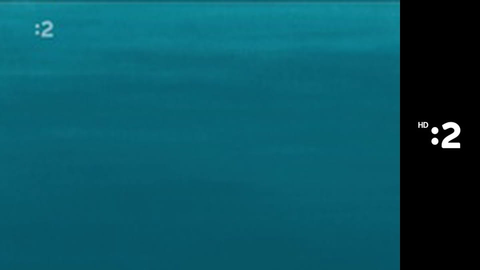 Rodinka líšok a jazvecov E26 - Priatelia nepriatelia