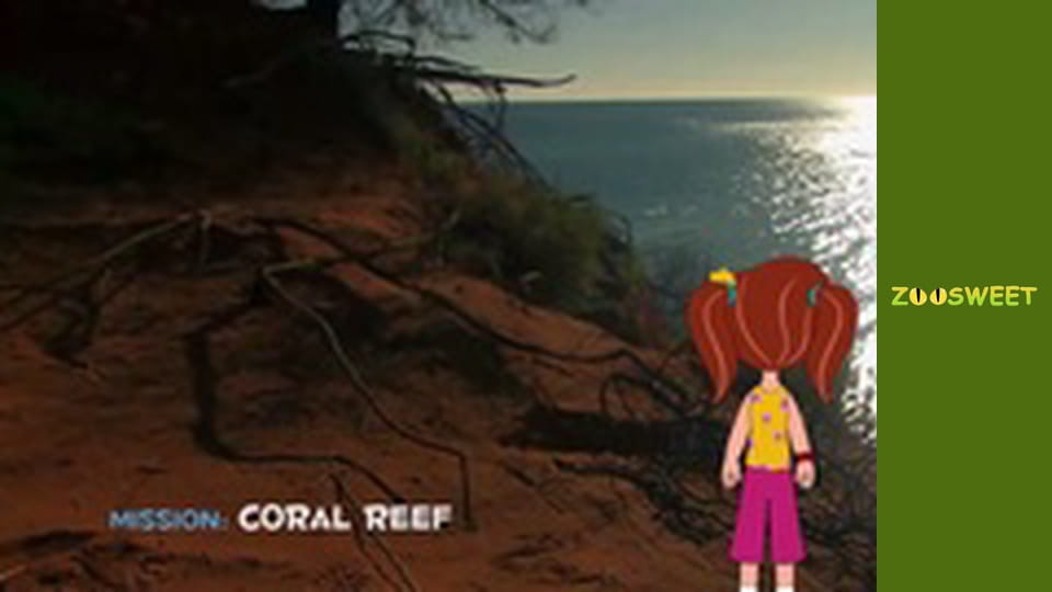 Моі друзі тварини. Підводна міссія - серія 17