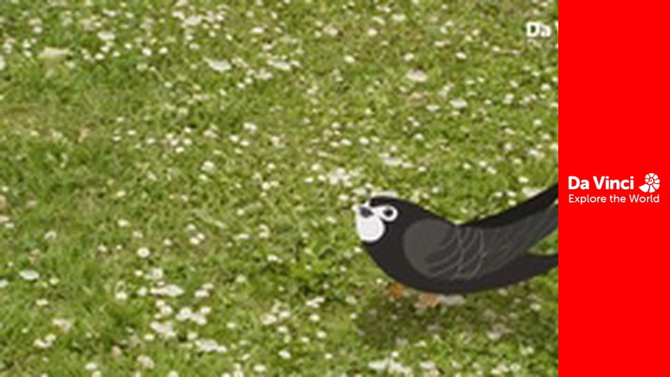 Мілі Міс Розпитайка - Відлітай