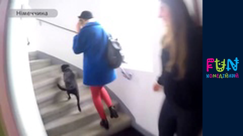 Заробітчани - Сезон 3 Випуск 39