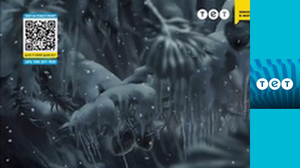 Мультфільми