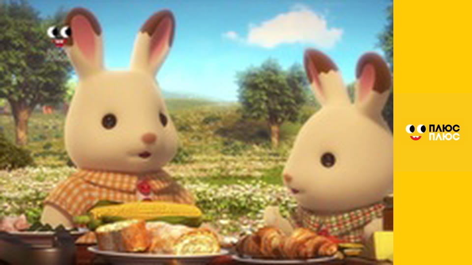 Історія жителів Сильванії