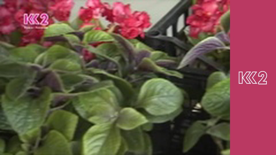 Квадратний метр E21