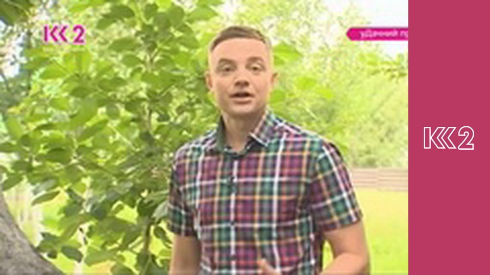 Смак Карпат E7 - Трубочки з кремом