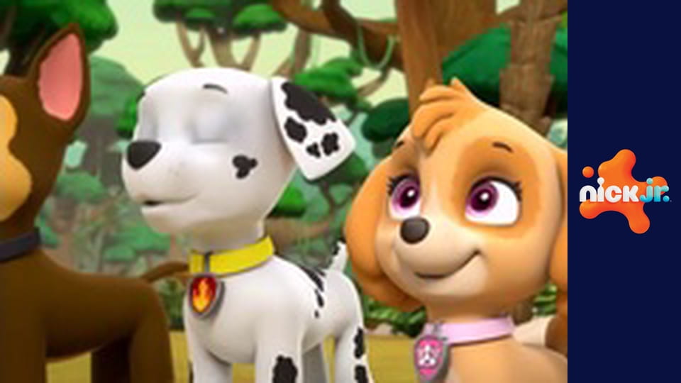 Psi patrol S4E20 - Pieski ratują paczkę / Pieski ratują panią Żabę