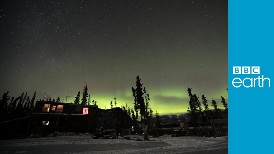 Life Below Zero S12E13 - Into the Tundra