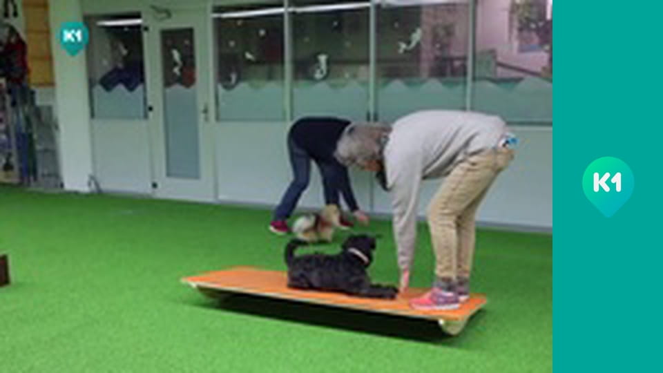 "Інший світ".