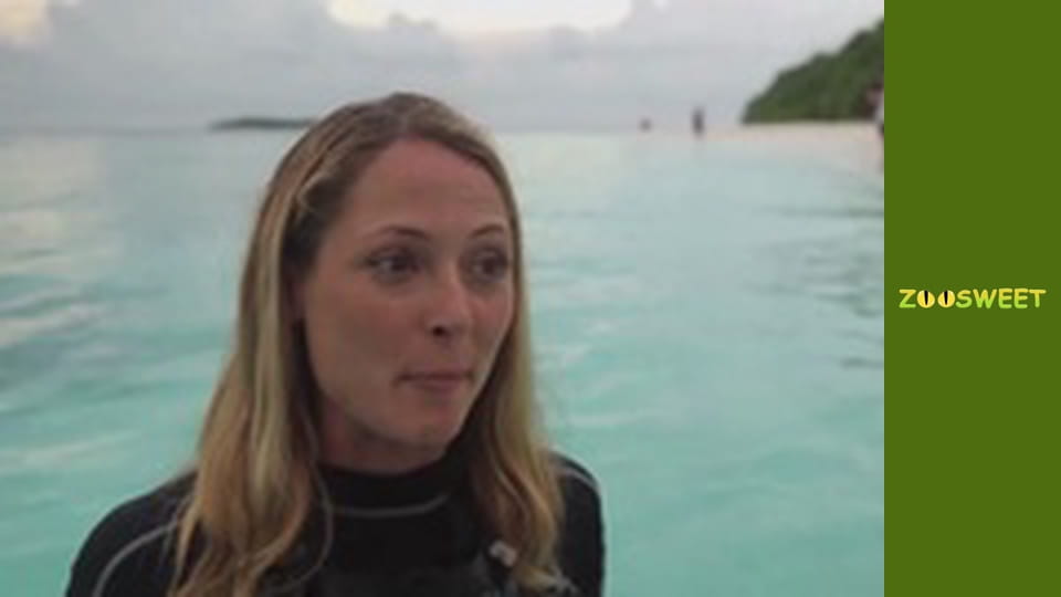 Моі улюбленці - серія 4