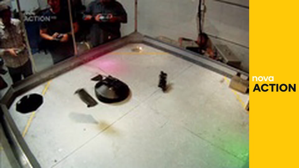 Mistři aukcí S2E24