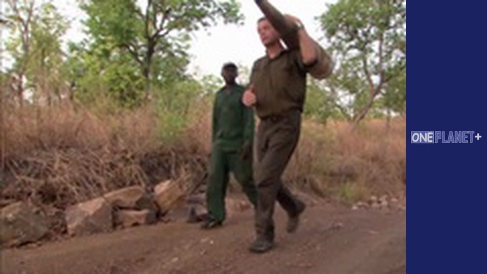 Под открытым небом - Национальные парки. - cерия 1