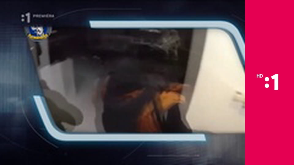 Bezpečné Slovensko E4