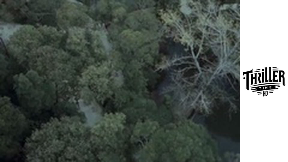 The Curse of Sleeping Beauty