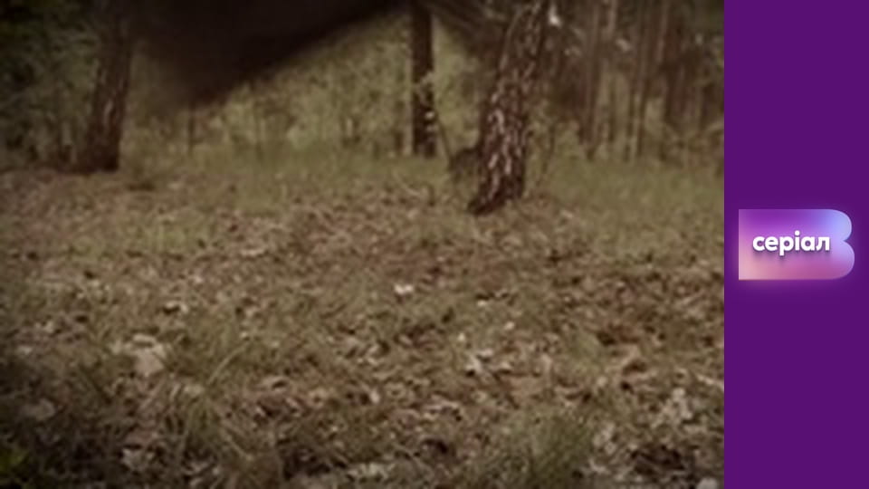 Т/с "Хід прокурора", 29 с.