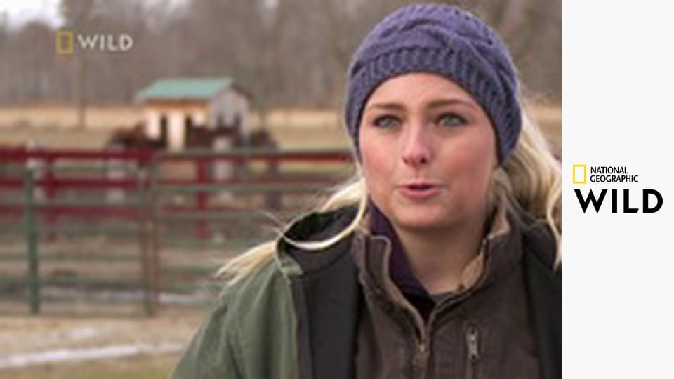 Niezwykły dr Pol S15E2 - Kurczaki dziwaki